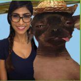 babuinu_ avatar