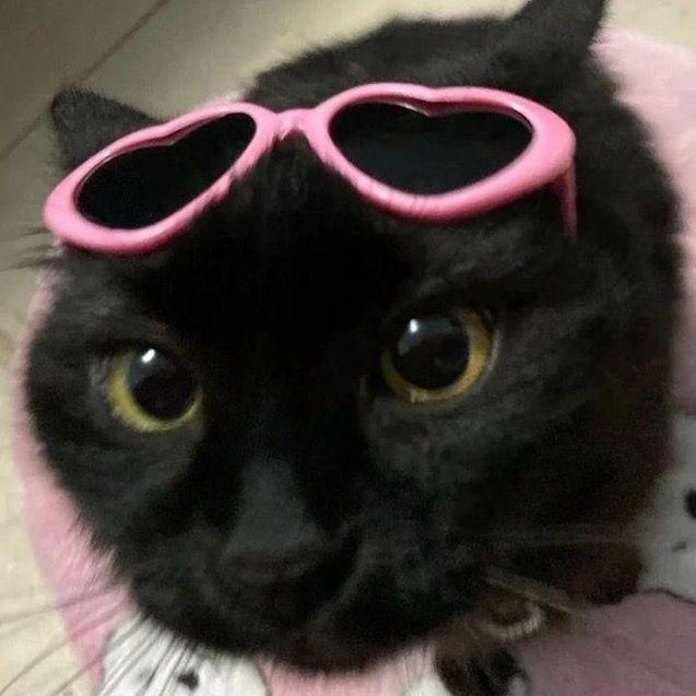 akovol344