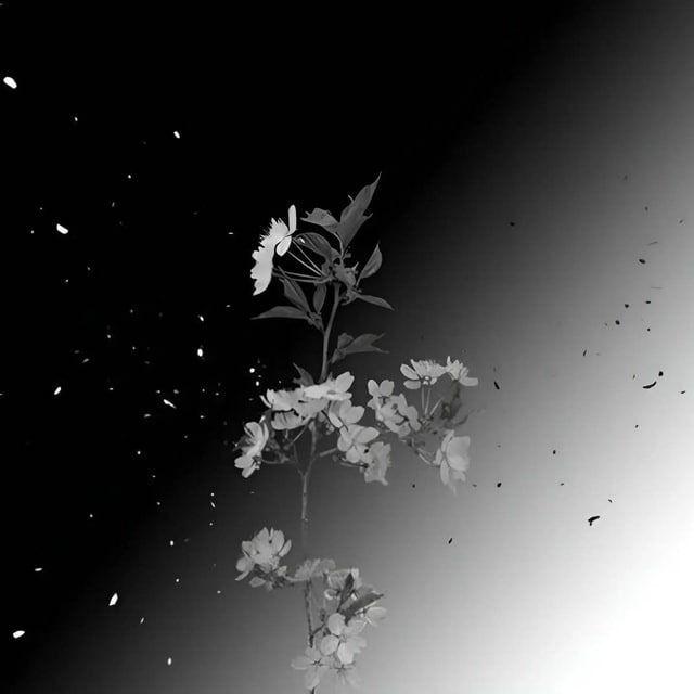 Vanek_Play avatar