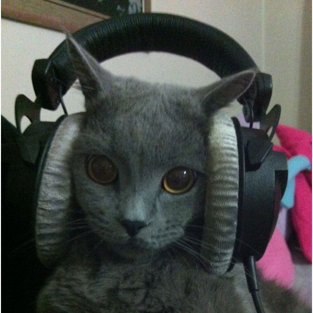 aress FACEIT avatar