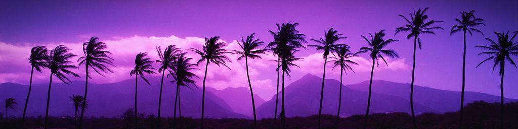 Faceit banner for @host
