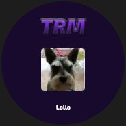 team_Dylaniato