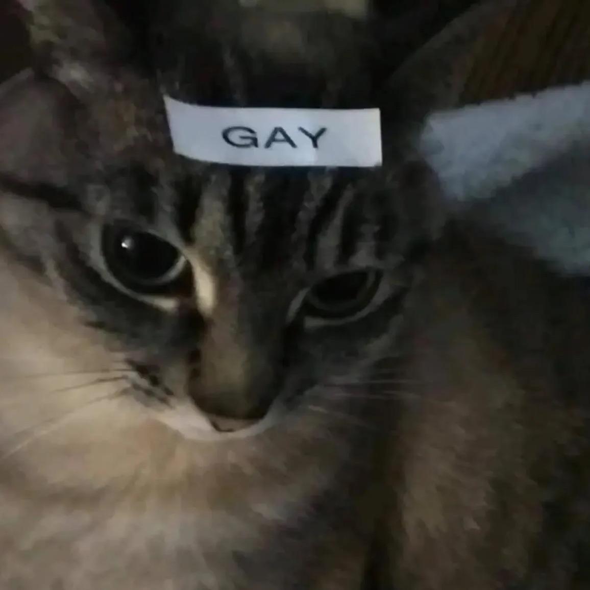 mart1n3z__ avatar
