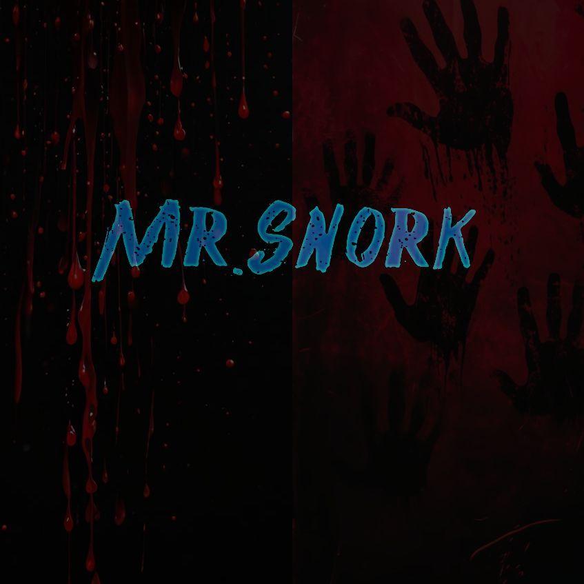Mr_Snork avatar