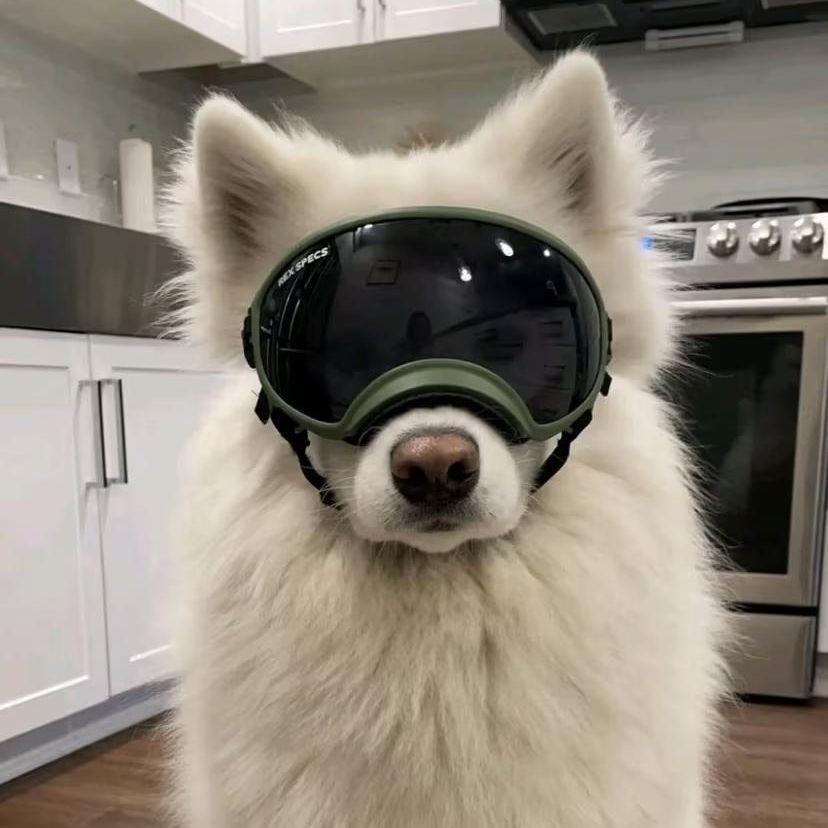 Char0n666 avatar