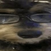 FlickenPeek_