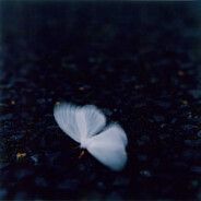 avoidance avatar