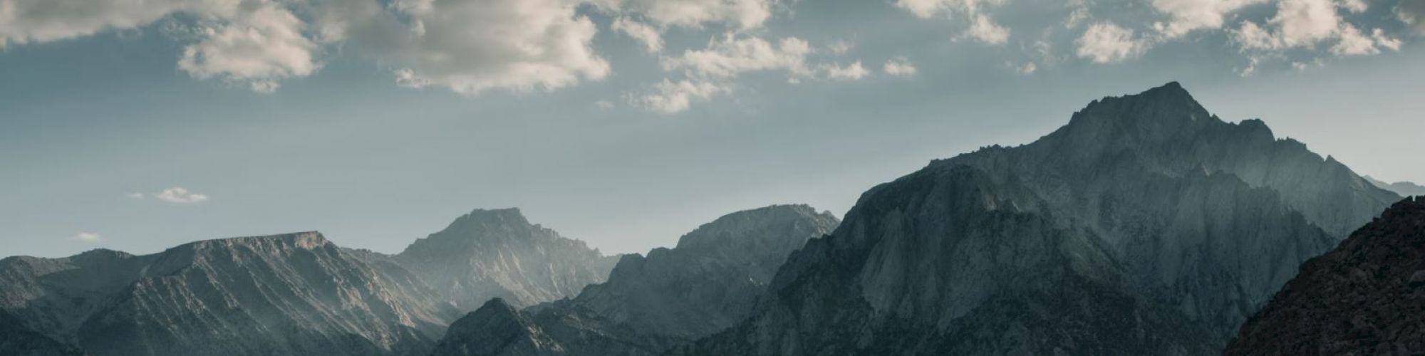Faceit banner for @schooner