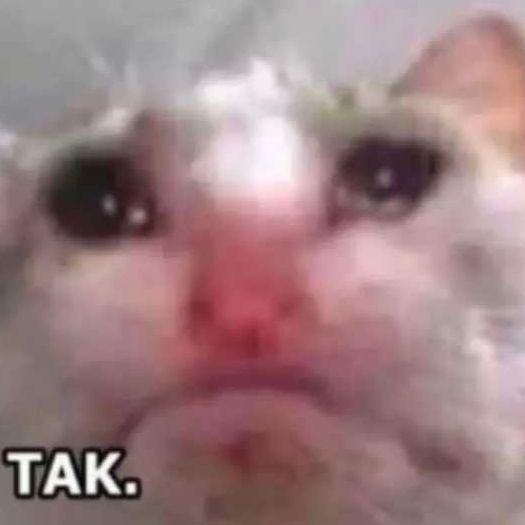 Aniusia_
