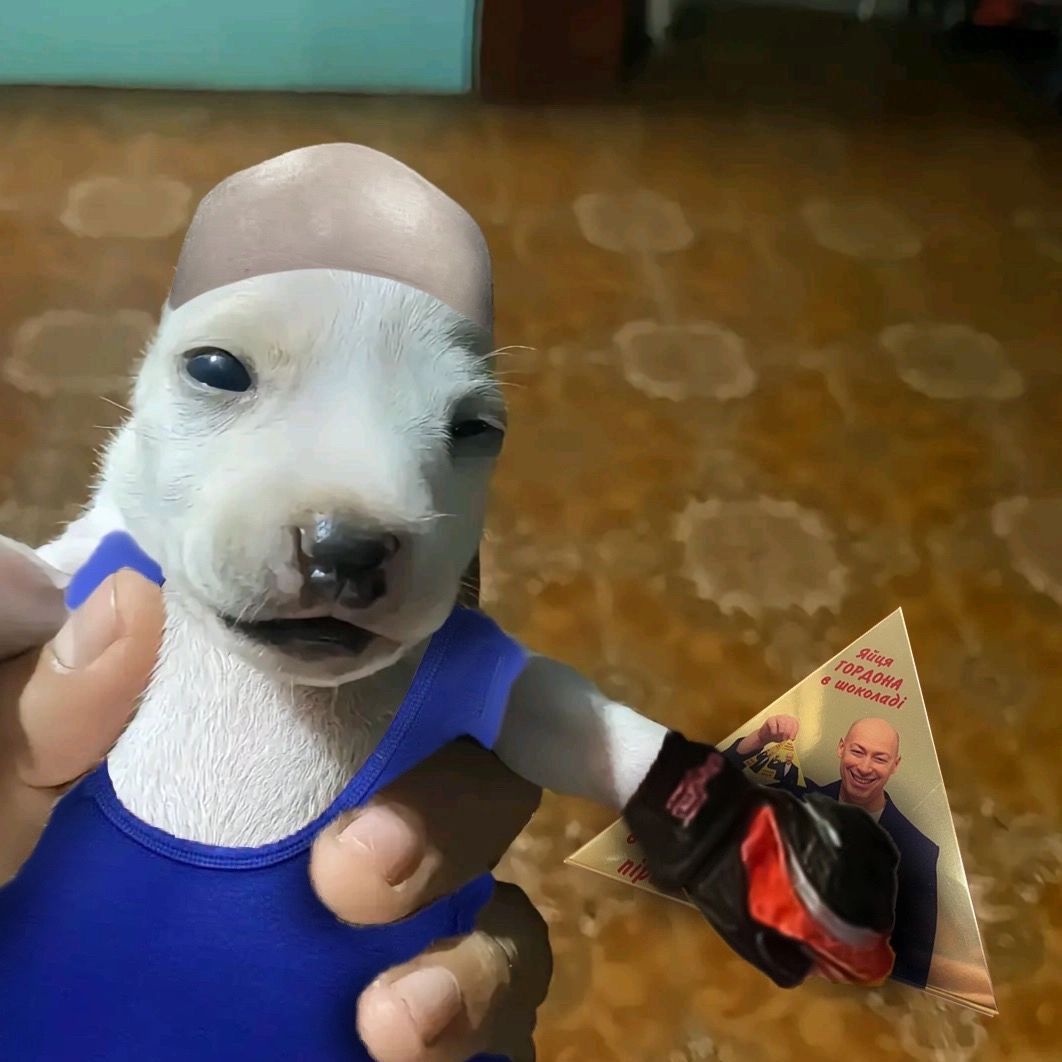 MrazotaTupoi
