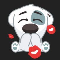 team_picca4sina