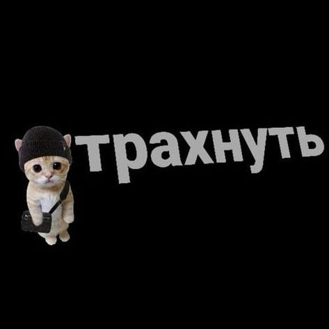 Tsukyro- FACEIT avatar
