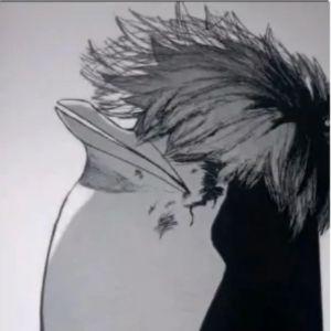 h0kagia avatar