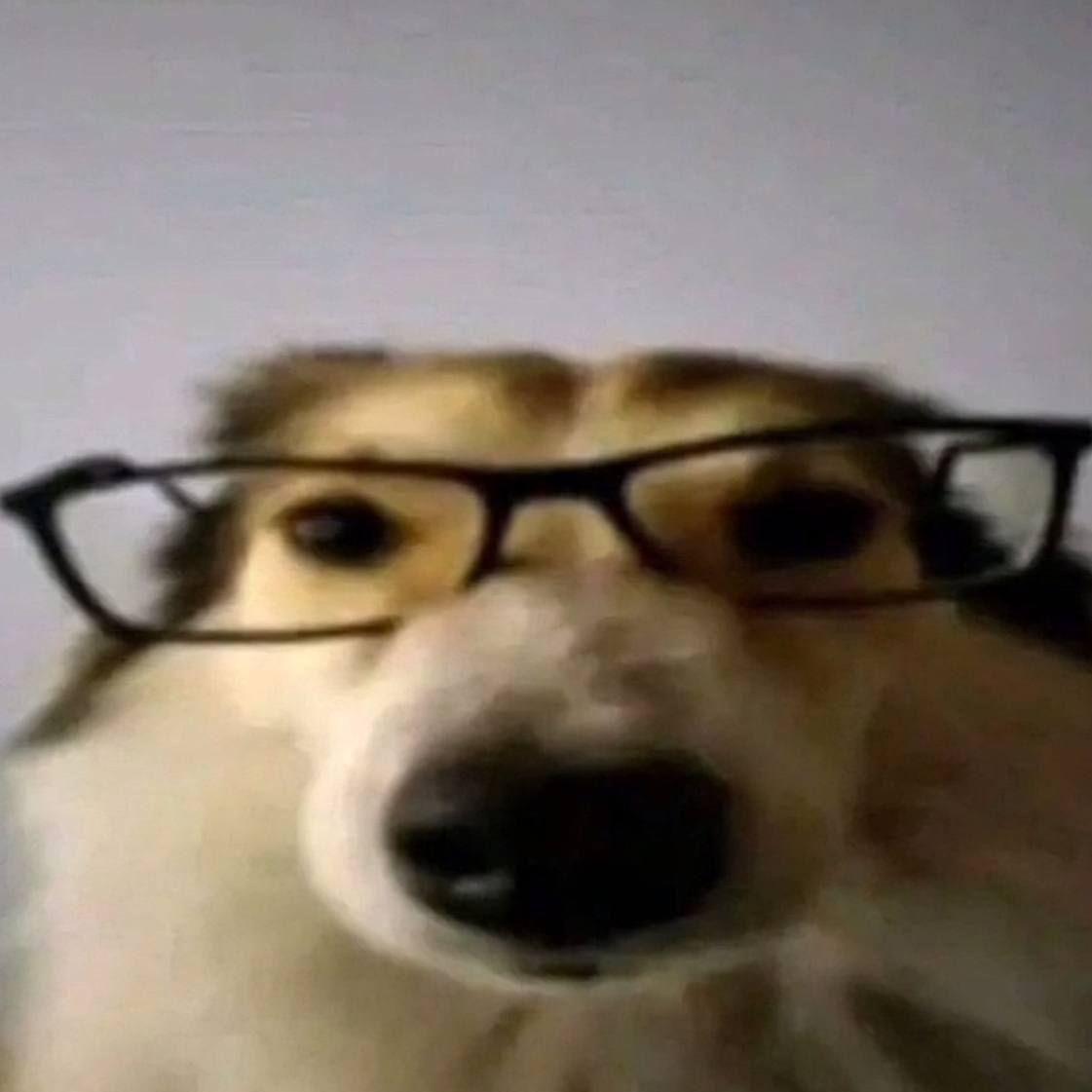 natefap avatar