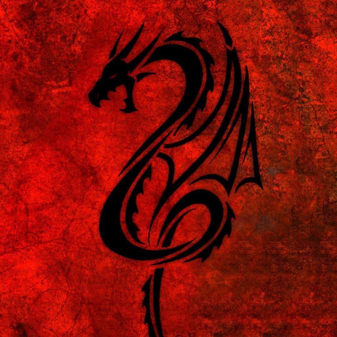 GaDzUn avatar