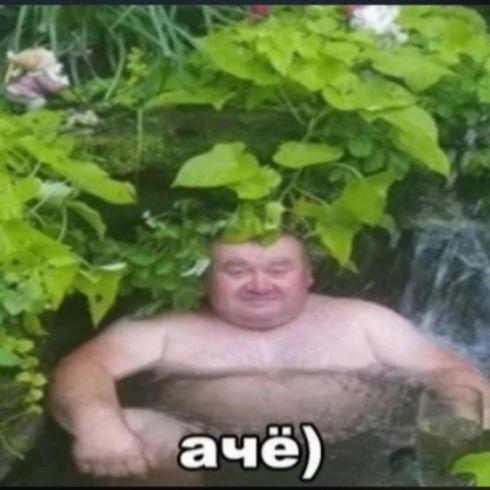 foffsu avatar