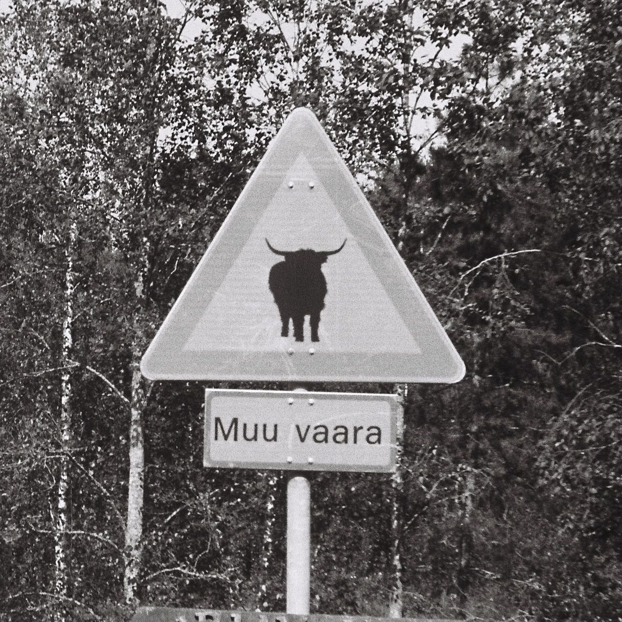 Heikkimania