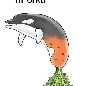 M-ORKA
