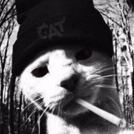 -cRunchh- avatar