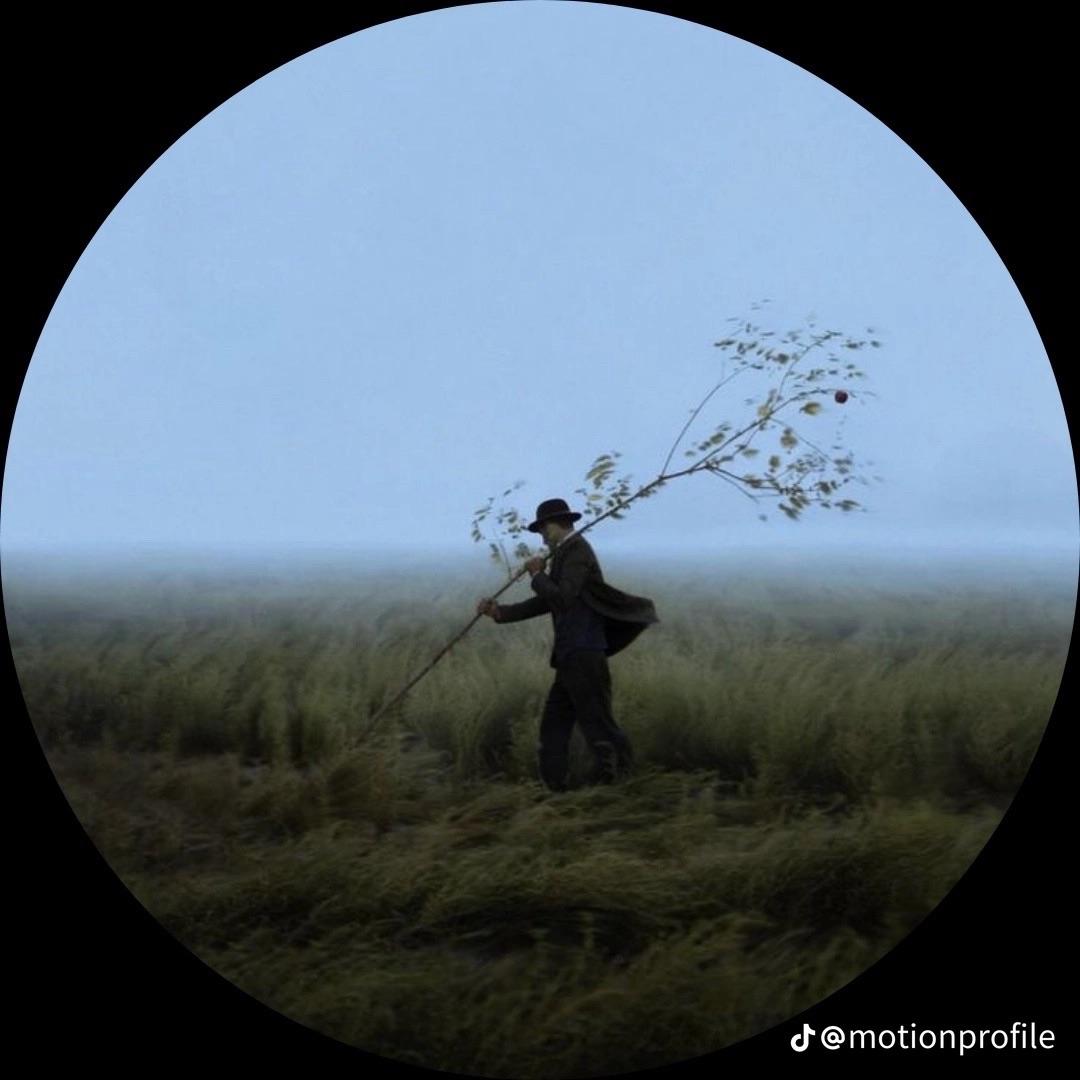XiwyS avatar