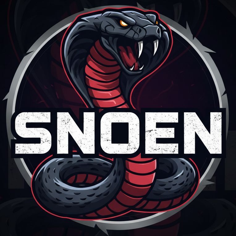 SNOEN FACEIT avatar