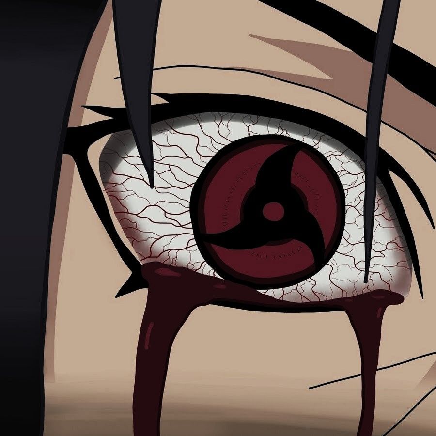 sadexawesome avatar