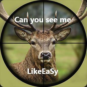 Player Deer-Hunter avatar