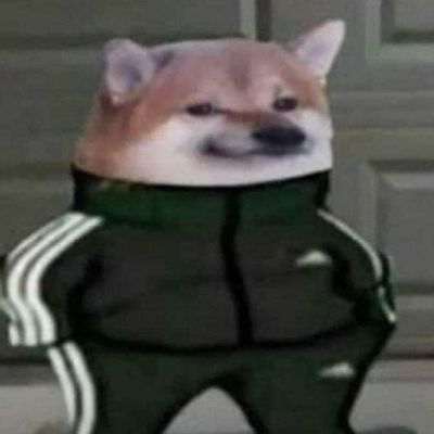 Hoansz FACEIT avatar