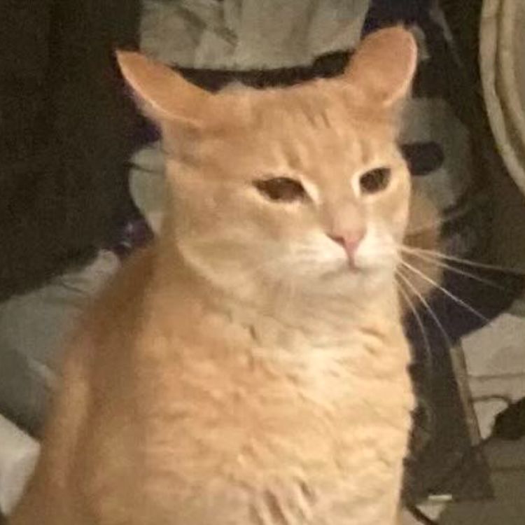 Nik0nor-