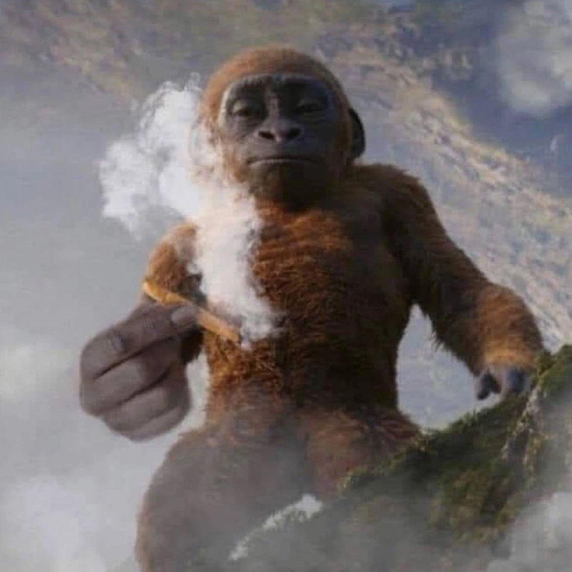 Broskii228 avatar