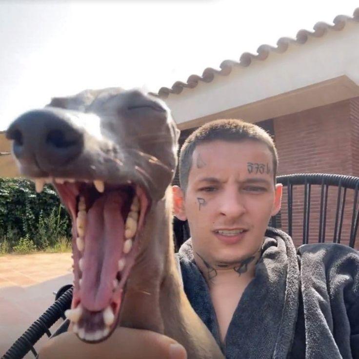 retka4ik avatar
