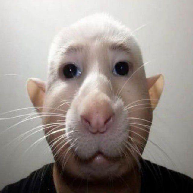 -w0rstplayer avatar