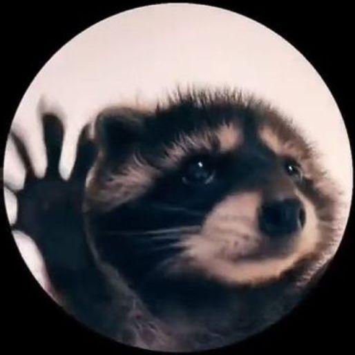 Raccoonator