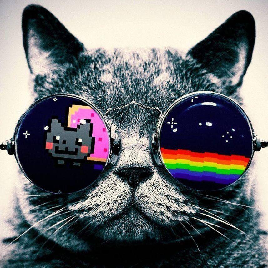 mdx_xx avatar