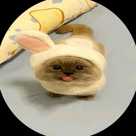 cookieQQ avatar