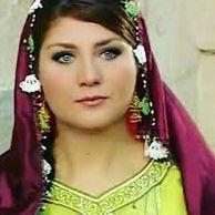 sibelcan31