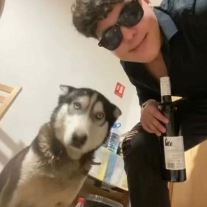 BogdanGuler avatar