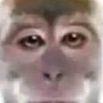 YanKolbaskin avatar