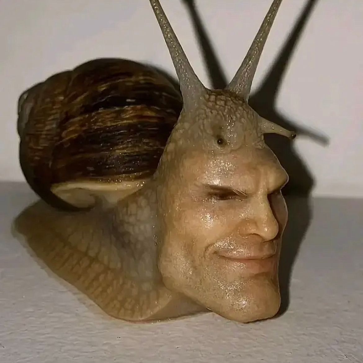 kamn