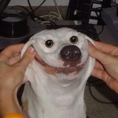 SheriffBeemo