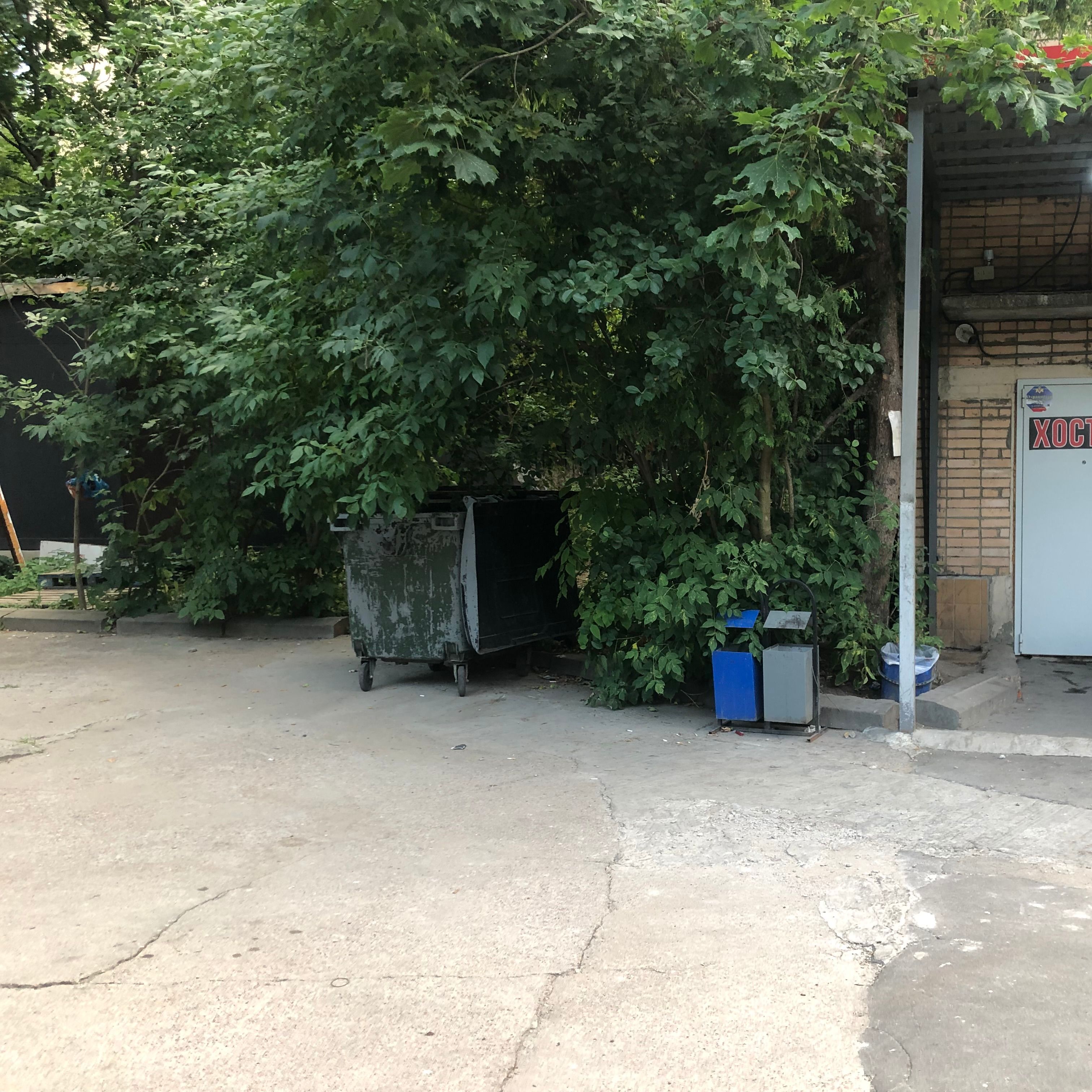 Marklolshop1