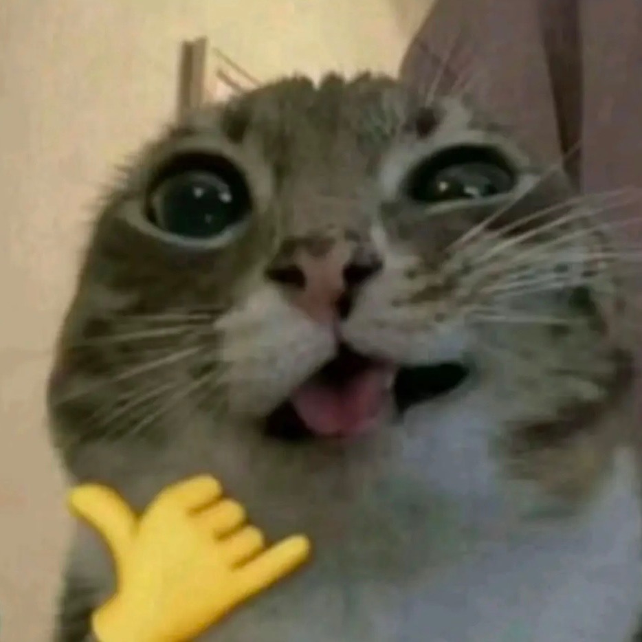 ded2113