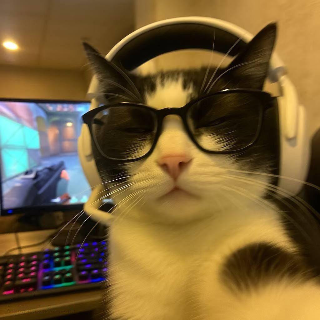OLBE1N avatar