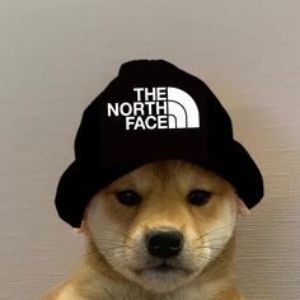 dbrgeorge
