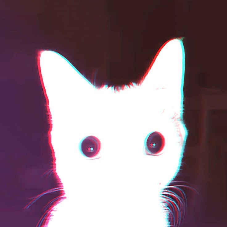 -Flai-