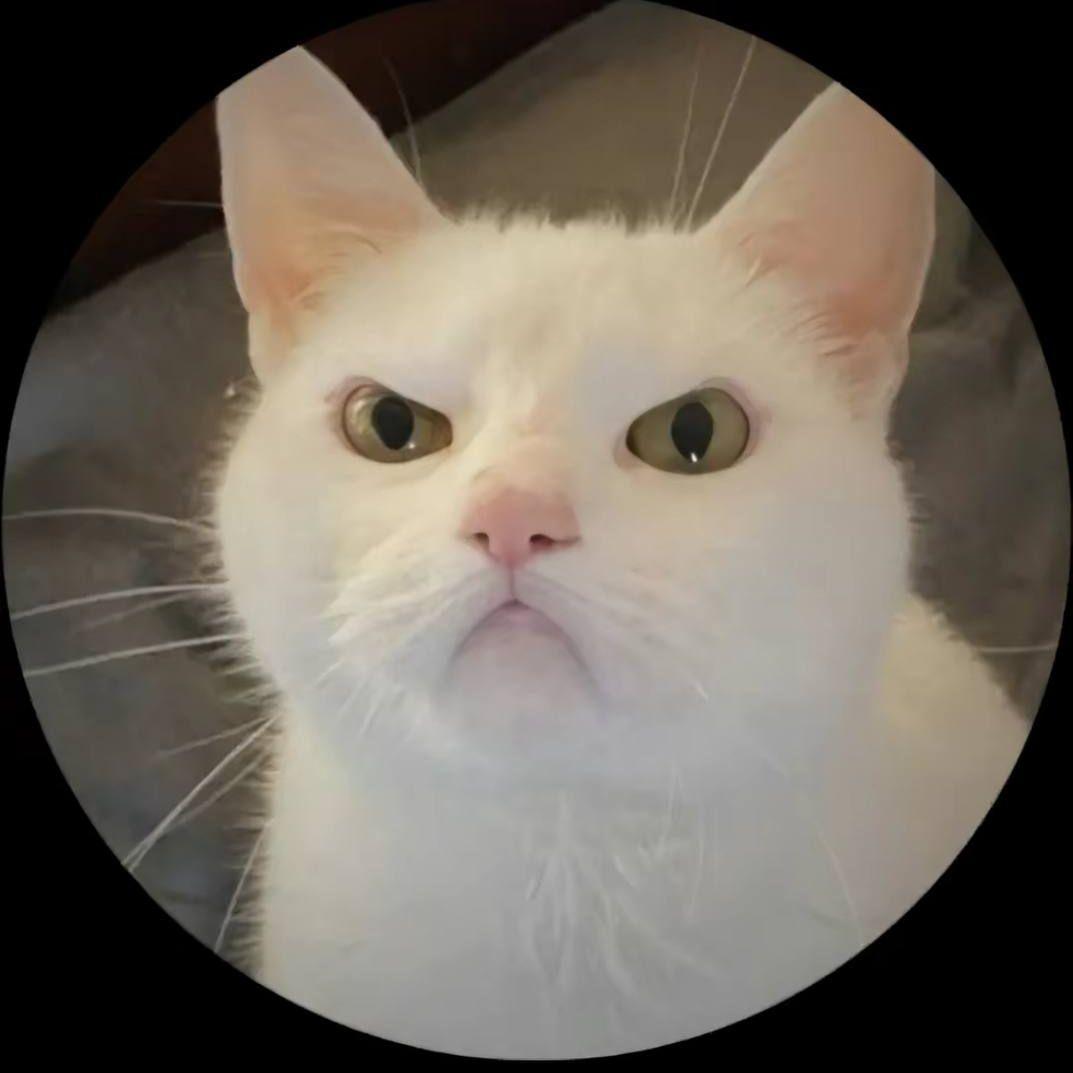 Keivs avatar