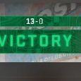 GoWinFast