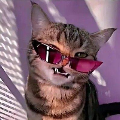 Hellmaier avatar