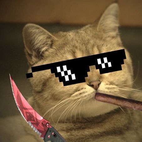 team_CT_magnum_T