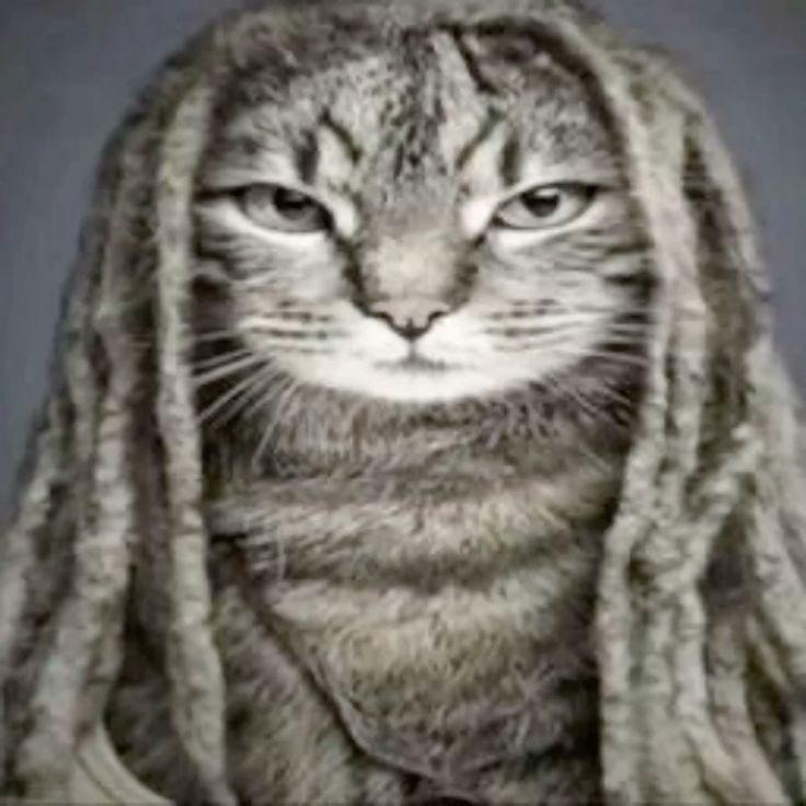 TheAlexSt avatar